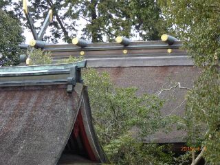 本殿の屋根