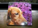 正さんちの犬の本.jpg